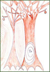 Kép nagyítása kattintással