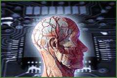 Kép nagyítása kattintással